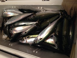 image-674c3.jpg